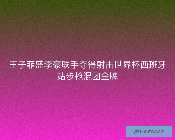 王子菲盛李豪联手夺得射击世界杯西班牙站步枪混团金牌